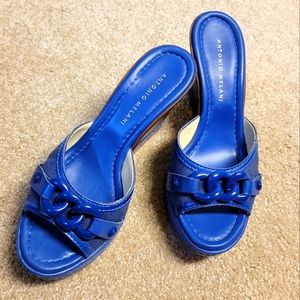 Antonio Melani Blue Wedge, Size 7M